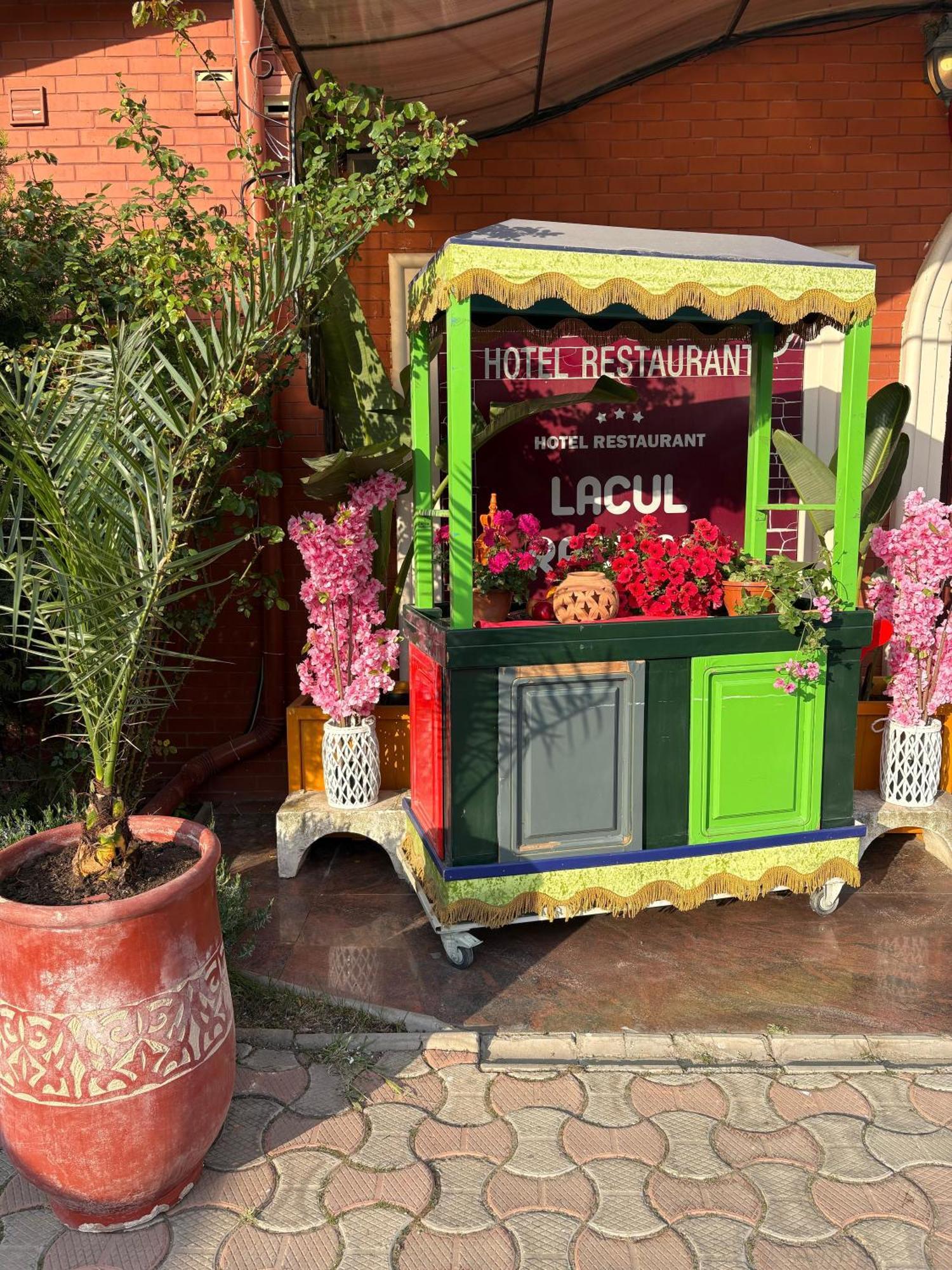 Lacul Racilor أوليمبْ المظهر الخارجي الصورة